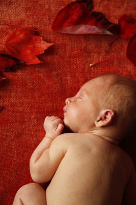 newborn photographer, toor photo, newborn baby photography, high resolution images